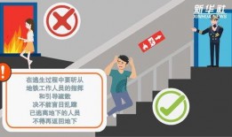 地铁逃生最新手册爆料图